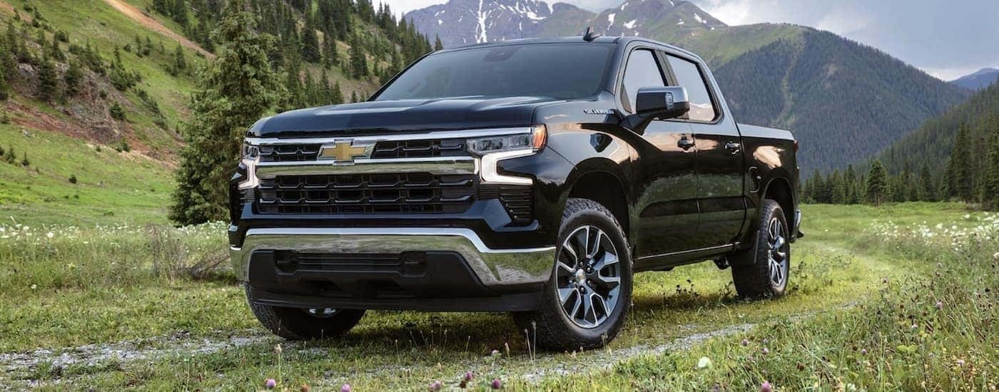 A popular Chevy Silverado for Sale Near Mountain Brook, AL, a black 2022 Chevy Silverado 1500 parked in a field