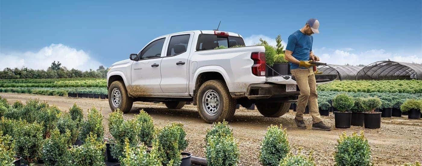A white 2024 Chevy Colorado WT at a plant nursery